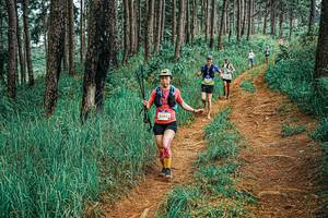 BIB: 
                            <button type="button" onclick="openModal(25677033)" class="btn btn-primary btn-sm float-right btn-popup" data-toggle="modal" data-target=".modal-high-quality">
                        <i class="fas fa-shopping-cart"></i> Add to Cart
                    </button>
                                            <button type="button" onclick="isThisMe(25677033, true)" class="btn btn-success btn-sm float-right btn-popup btn-isme hidden" data-toggle="tooltip" data-placement="bottom" title="นี่คือรูปของคุณใช่ไหม คลิกที่นี่เพื่อเอาเข้าอัลบั้ม">
                        <i class="fas fa-plus"></i> Add to album
                    </button>
                    <button type="button" onclick="isThisMe(25677033, false)" class="btn btn-warning btn-sm float-right btn-popup btn-isnotme hidden">
                        <i class="fas fa-ban"></i> Remove from album
                    </button>